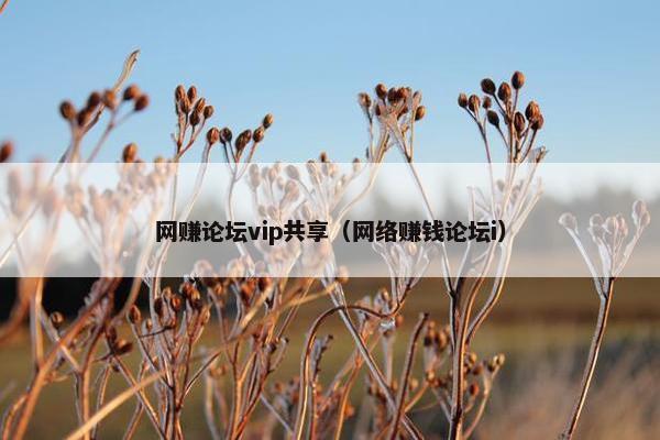 网赚论坛vip共享（网络赚钱论坛i）