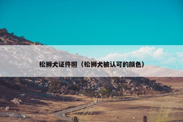 松狮犬证件照（松狮犬被认可的颜色）