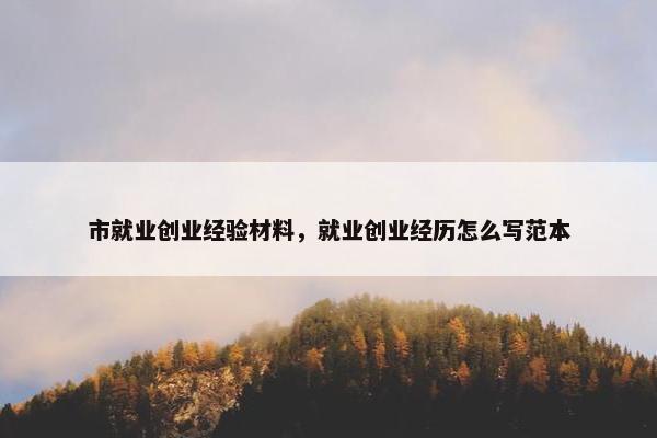 市就业创业经验材料，就业创业经历怎么写范本