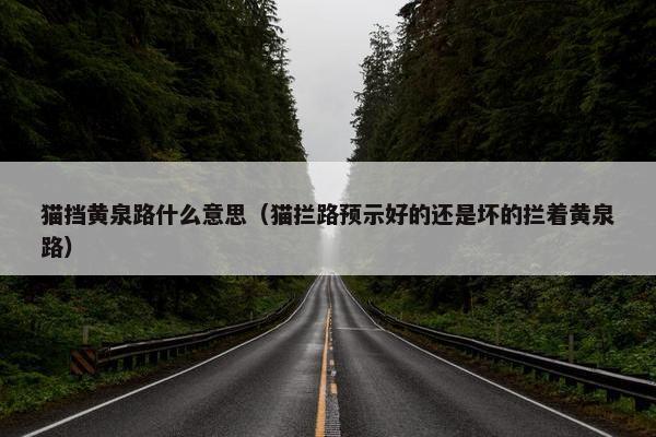 猫挡黄泉路什么意思（猫拦路预示好的还是坏的拦着黄泉路）