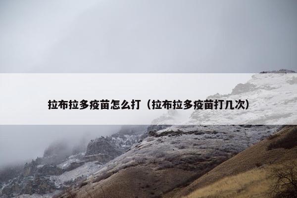 拉布拉多疫苗怎么打（拉布拉多疫苗打几次）