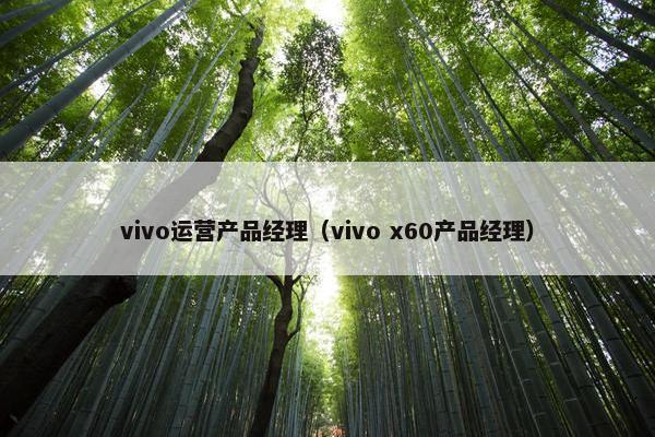vivo运营产品经理（vivo x60产品经理）