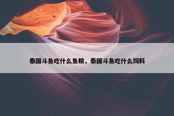 泰国斗鱼吃什么鱼粮，泰国斗鱼吃什么饲料