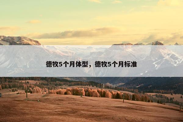 德牧5个月体型，德牧5个月标准