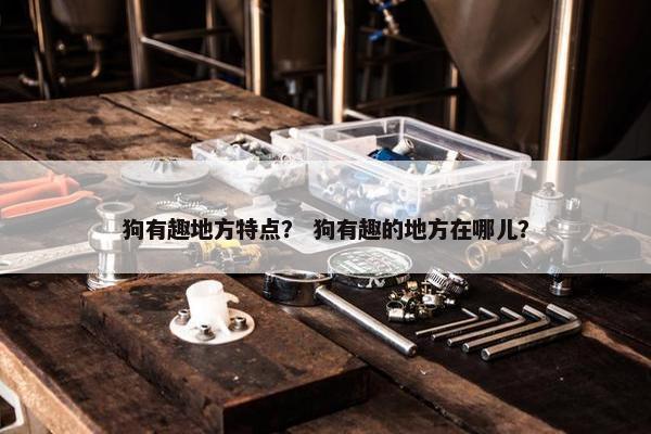 狗有趣地方特点？ 狗有趣的地方在哪儿？