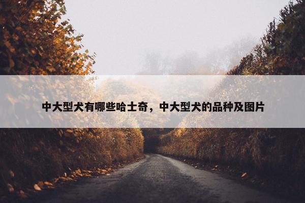 中大型犬有哪些哈士奇，中大型犬的品种及图片