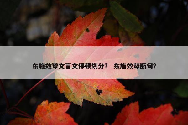 东施效颦文言文停顿划分？ 东施效颦断句？