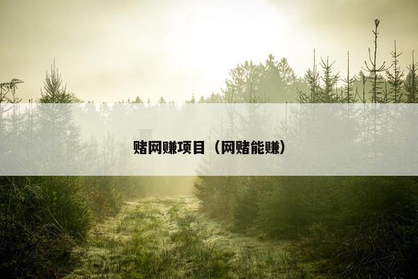赌网赚项目（网赌能赚）