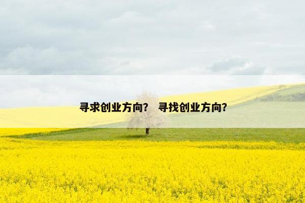 寻求创业方向？ 寻找创业方向？