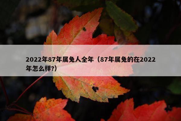 2022年87年属兔人全年（87年属兔的在2022年怎么样?）