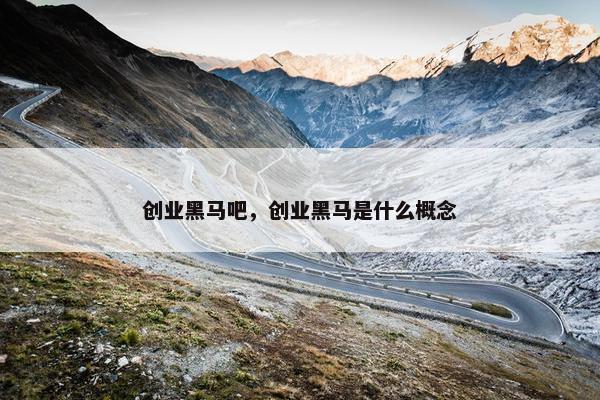 创业黑马吧，创业黑马是什么概念