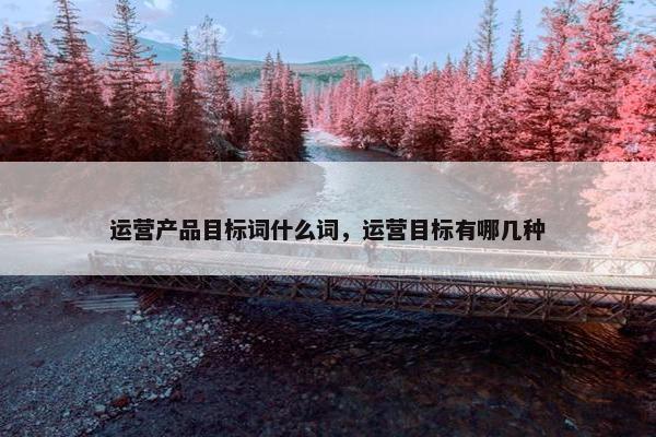 运营产品目标词什么词，运营目标有哪几种
