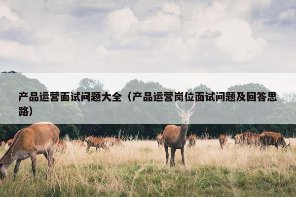 产品运营面试问题大全（产品运营岗位面试问题及回答思路）