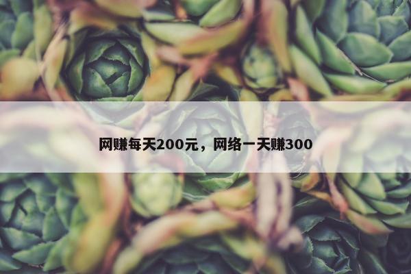 网赚每天200元，网络一天赚300