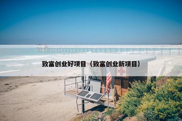 致富创业好项目（致富创业新项目）