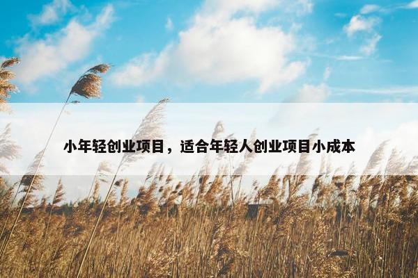 小年轻创业项目，适合年轻人创业项目小成本