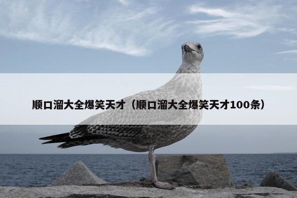 顺口溜大全爆笑天才（顺口溜大全爆笑天才100条）