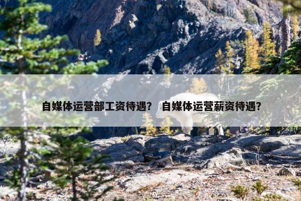 自媒体运营部工资待遇？ 自媒体运营薪资待遇？