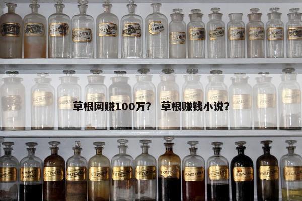 草根网赚100万？ 草根赚钱小说？