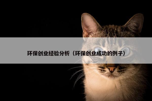 环保创业经验分析（环保创业成功的例子）