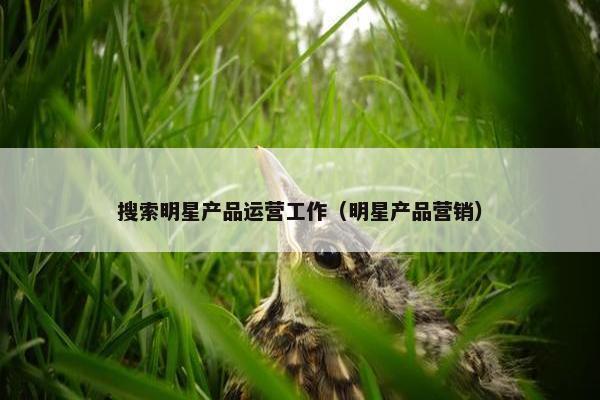 搜索明星产品运营工作（明星产品营销）