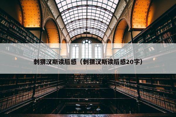 刺猬汉斯读后感（刺猬汉斯读后感20字）