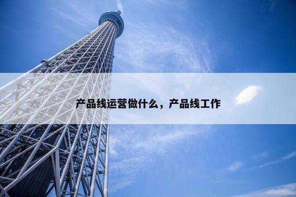 产品线运营做什么，产品线工作