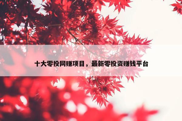 十大零投网赚项目，最新零投资赚钱平台