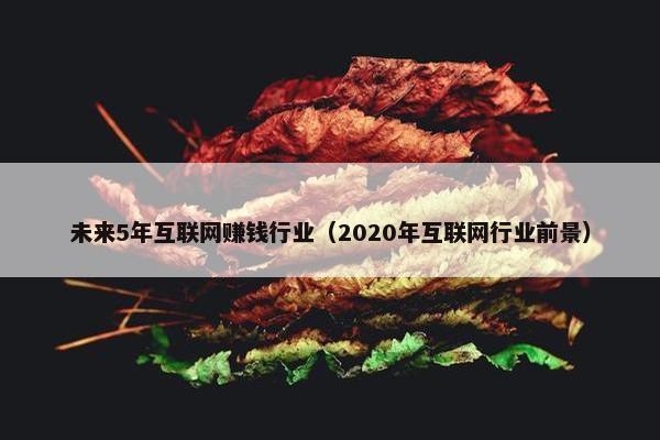 未来5年互联网赚钱行业（2020年互联网行业前景）