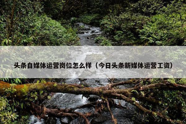 头条自媒体运营岗位怎么样（今日头条新媒体运营工资）