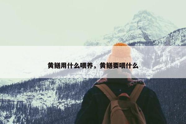 黄鳝用什么喂养，黄鳝要喂什么