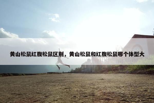 黄山松鼠红腹松鼠区别，黄山松鼠和红腹松鼠哪个体型大