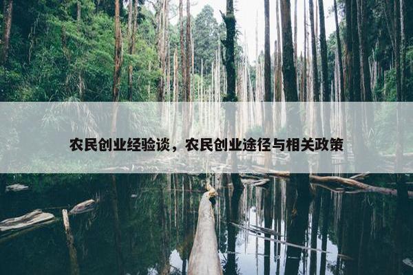 农民创业经验谈，农民创业途径与相关政策