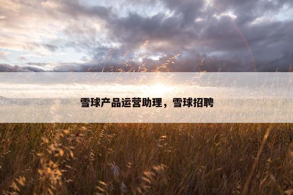 雪球产品运营助理，雪球招聘