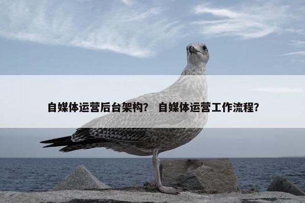 自媒体运营后台架构？ 自媒体运营工作流程？