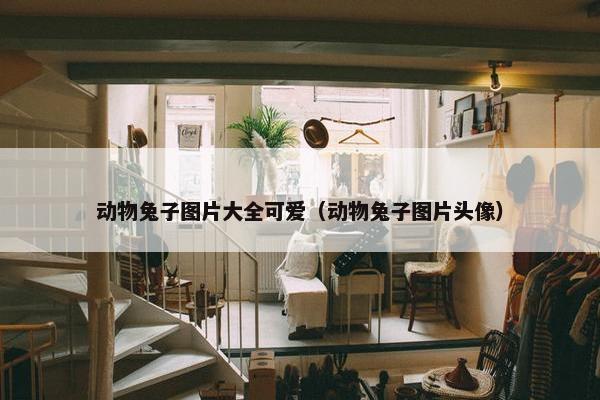 动物兔子图片大全可爱（动物兔子图片头像）