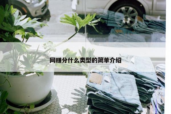 网赚分什么类型的简单介绍