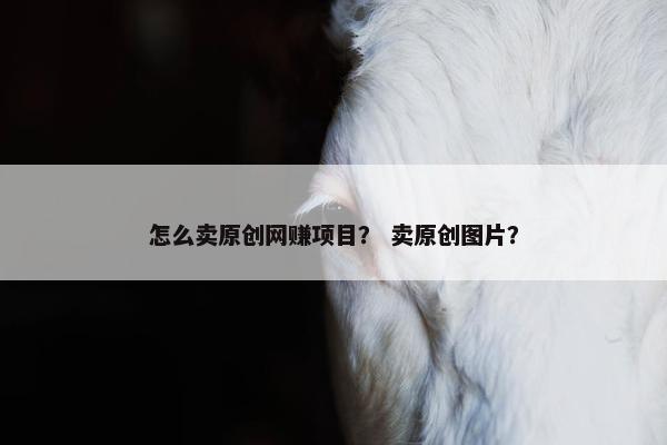 怎么卖原创网赚项目？ 卖原创图片？