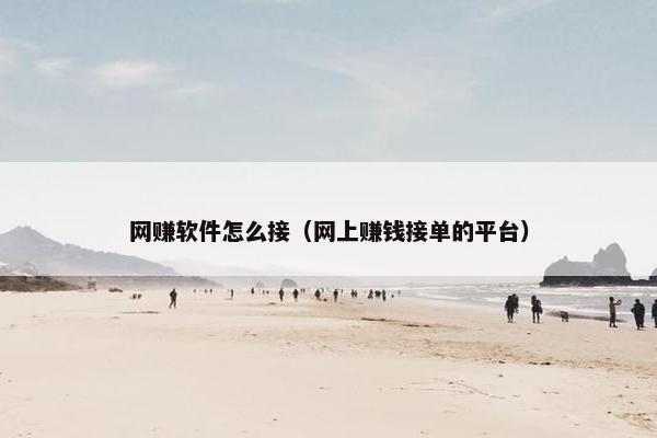 网赚软件怎么接（网上赚钱接单的平台）