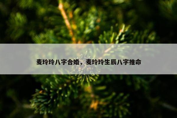 麦玲玲八字合婚，麦玲玲生辰八字推命