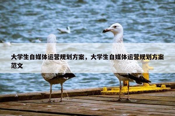 大学生自媒体运营规划方案，大学生自媒体运营规划方案范文