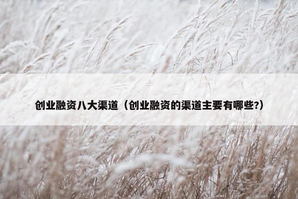 创业融资八大渠道（创业融资的渠道主要有哪些?）