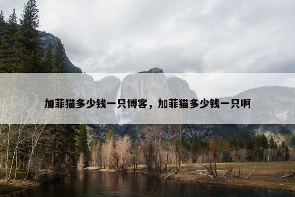 加菲猫多少钱一只博客，加菲猫多少钱一只啊