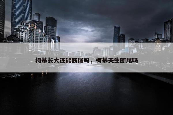 柯基长大还能断尾吗，柯基天生断尾吗