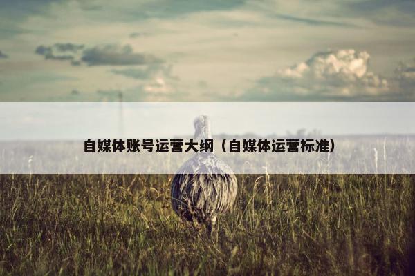 自媒体账号运营大纲（自媒体运营标准）
