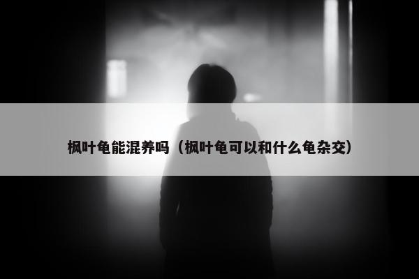 枫叶龟能混养吗（枫叶龟可以和什么龟杂交）