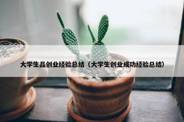 大学生品创业经验总结（大学生创业成功经验总结）