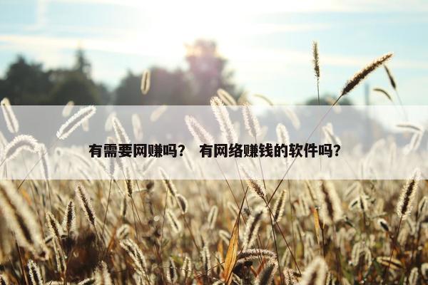 有需要网赚吗？ 有网络赚钱的软件吗？