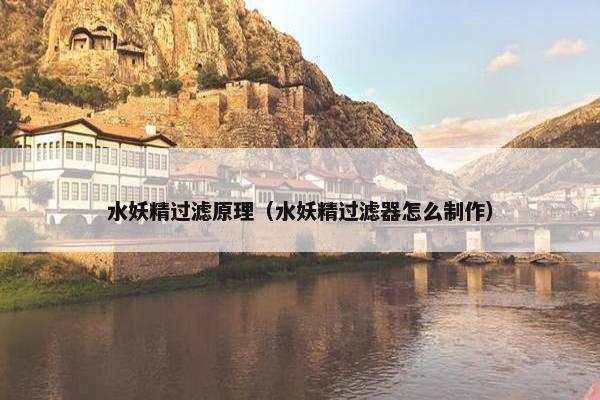 水妖精过滤原理（水妖精过滤器怎么制作）