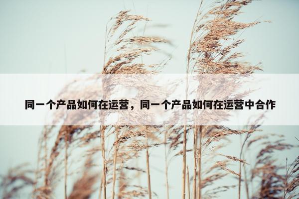 同一个产品如何在运营，同一个产品如何在运营中合作